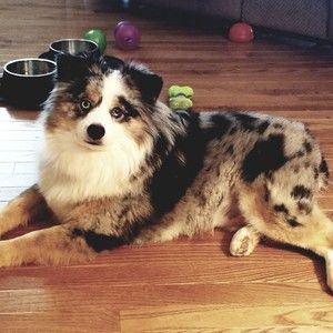 Meet your Posher, Kristi